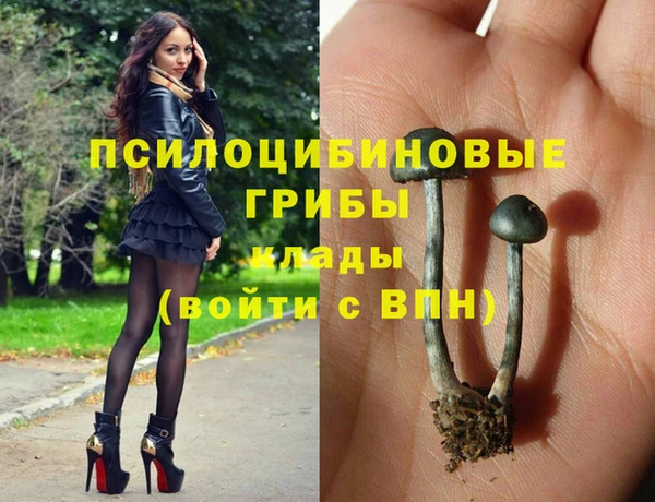 амф Баксан