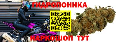 сатива Балаково
