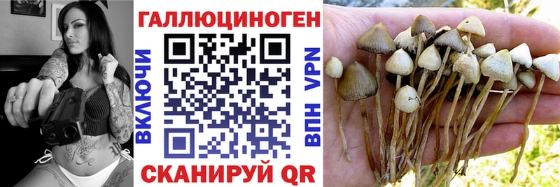Псилоцибиновые грибы мухоморы  продажа наркотиков  Верхняя Пышма 
