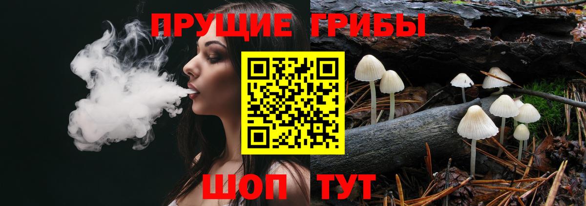 закладки  Верхняя Пышма  Псилоцибиновые грибы GOLDEN TEACHER 